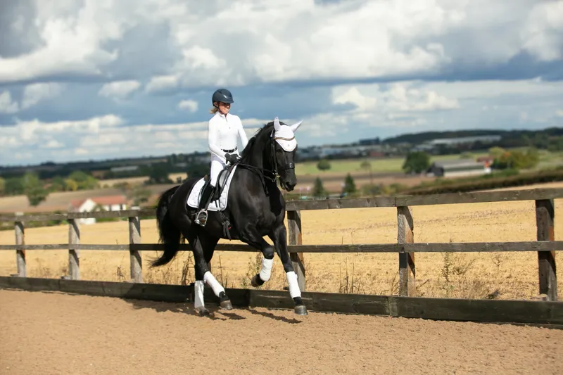 Coldstream Marygold Bandages - White-2